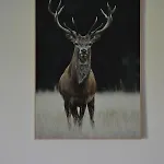Le Du Gege