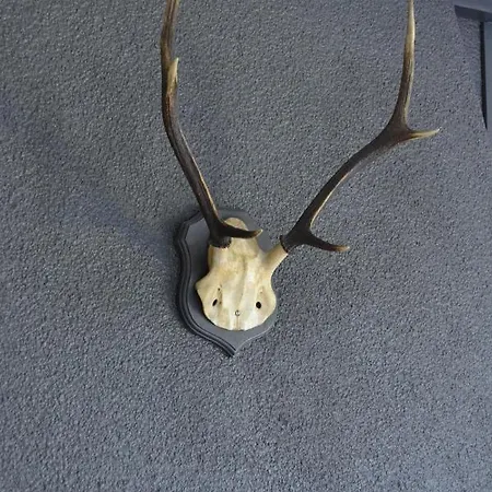 シャレー Le Du Gege *