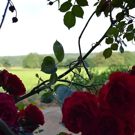 Le Du Gege شاليه *