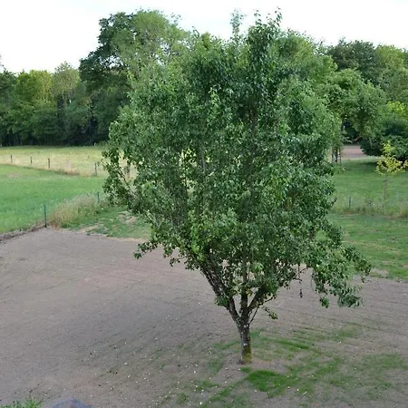 Le Du Gege بوالون