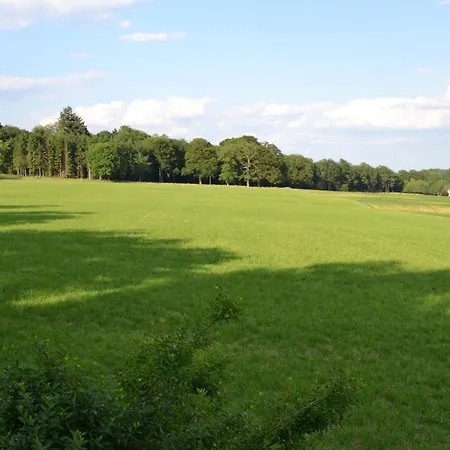 Le Du Gege * ブイヨン