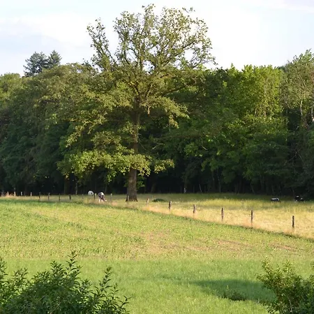 Le Du Gege シャレー ブイヨン